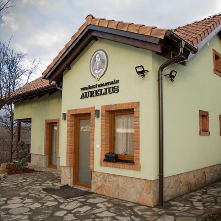 Vinarsky Penzion Andre Velké Pavlovice 外观 照片
