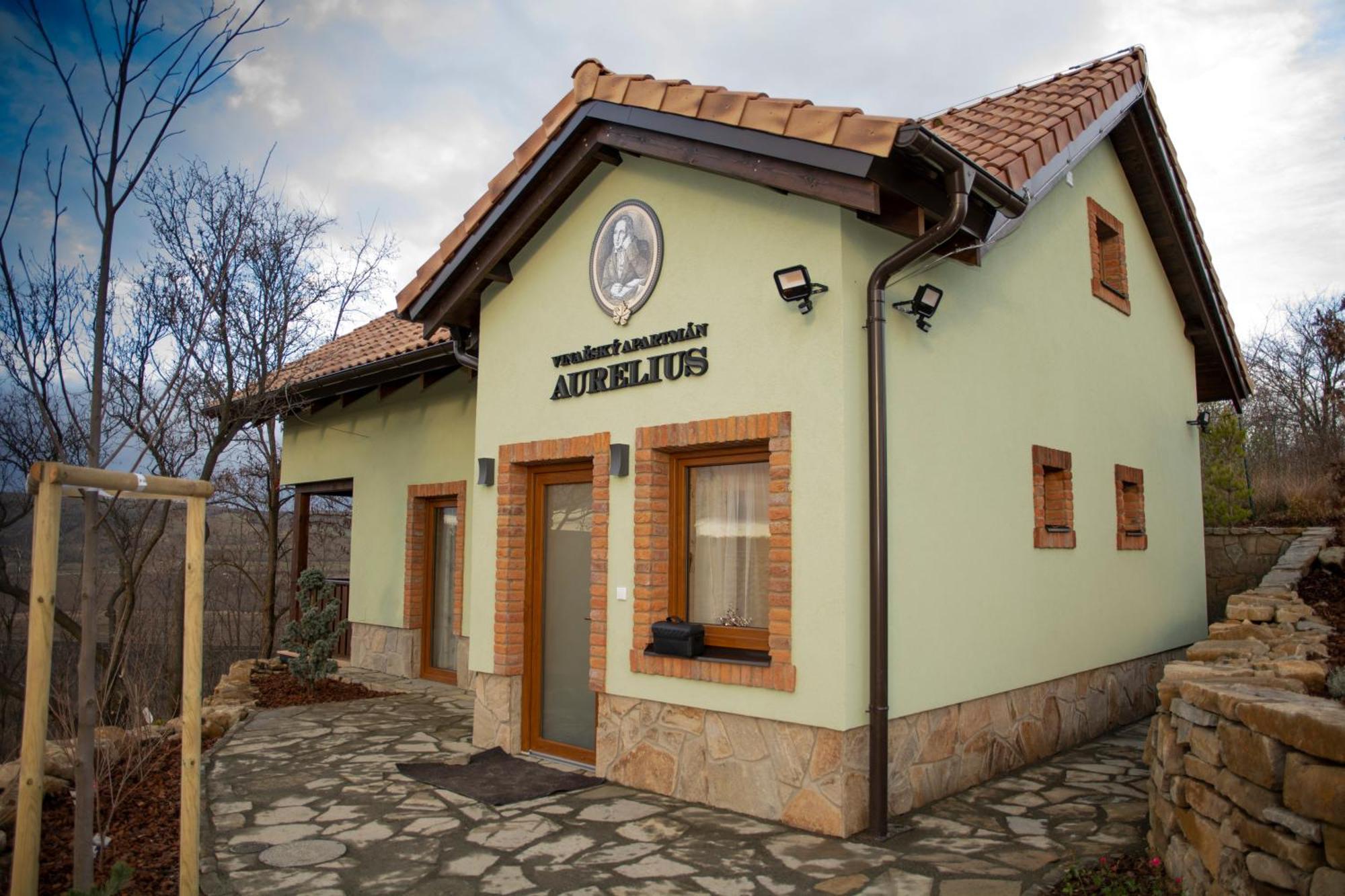 Vinarsky Penzion Andre Velké Pavlovice 外观 照片